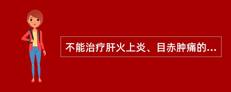 不能治疗肝火上炎、目赤肿痛的药组是（）