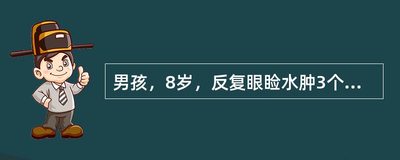 男孩，8岁，反复眼睑水肿3个月，查尿常规：尿蛋白+++，红细胞20~30个／HP