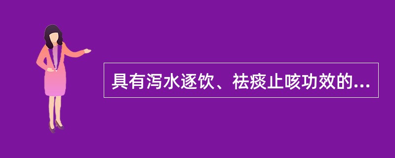 具有泻水逐饮、祛痰止咳功效的药物是（）