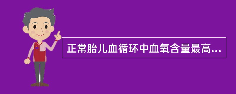 正常胎儿血循环中血氧含量最高的部位是（）