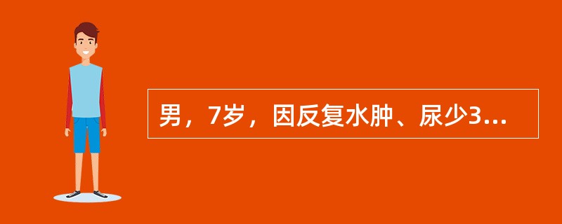 男，7岁，因反复水肿、尿少3周入院。查体：血压12／9kPa（90／68mmHg