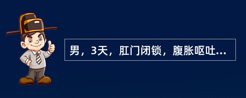 男，3天，肛门闭锁，腹胀呕吐，尿液澄清，应做的必须检查（）