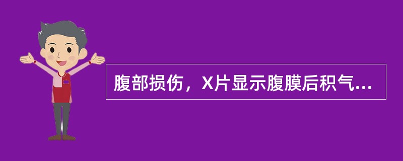 腹部损伤，X片显示腹膜后积气，可能为（）。