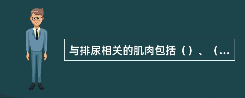 与排尿相关的肌肉包括（）、（）、（）。