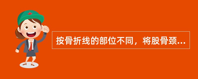 按骨折线的部位不同，将股骨颈骨折分为（），（），（）。