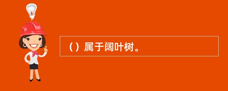 （）属于阔叶树。