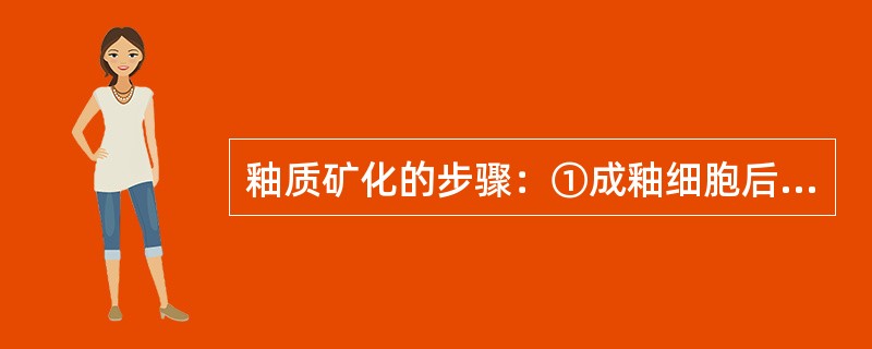 釉质矿化的步骤：①成釉细胞后退，留出空隙，这些细长的空隙与基质接触；②釉原蛋白减