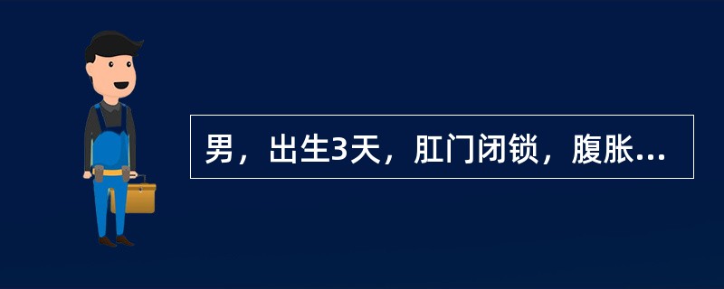 男，出生3天，肛门闭锁，腹胀呕吐，尿液澄清，应做的必需检查（）