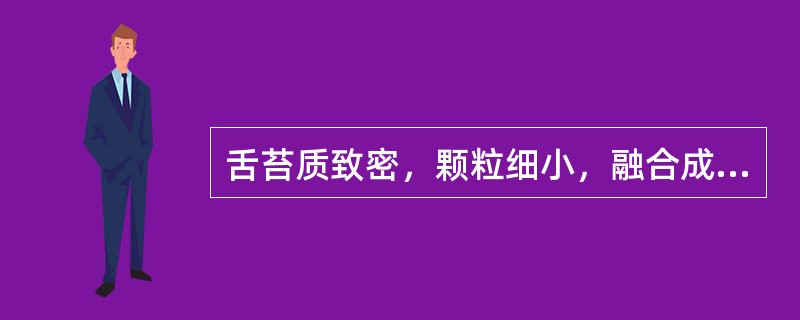 舌苔质致密，颗粒细小，融合成片，属（）；舌苔质颗粒大而疏松，形如豆腐渣者，为（）