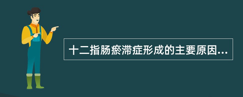 十二指肠瘀滞症形成的主要原因是（）