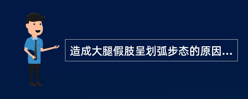 造成大腿假肢呈划弧步态的原因是（）