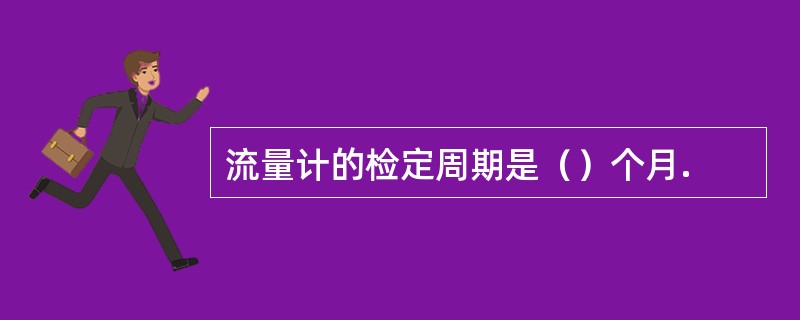 流量计的检定周期是（）个月.