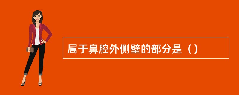 属于鼻腔外侧壁的部分是（）