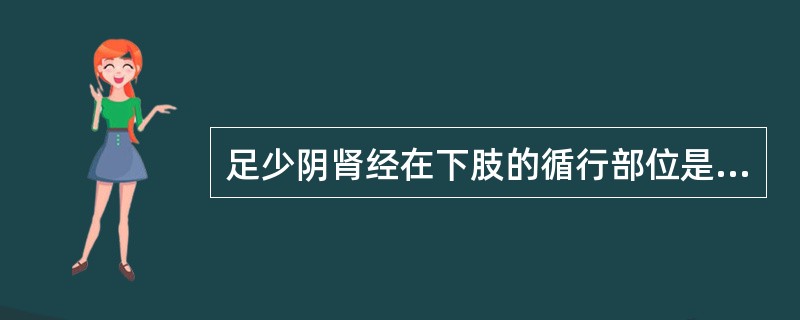 足少阴肾经在下肢的循行部位是（）