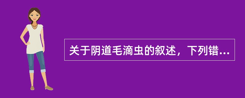 关于阴道毛滴虫的叙述，下列错误的是（）。