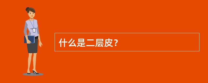 什么是二层皮？