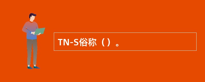 TN-S俗称（）。