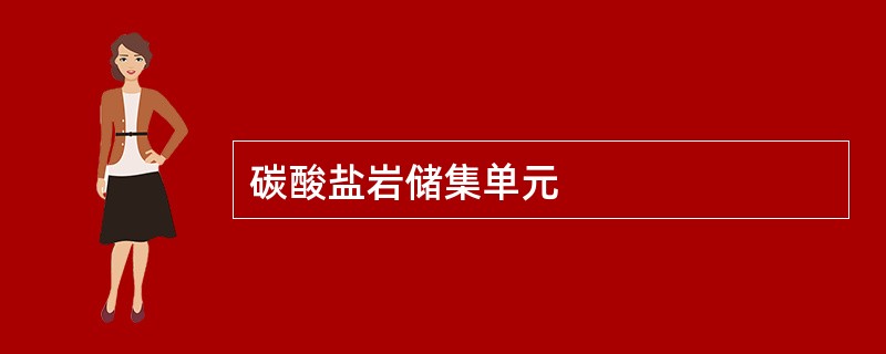 碳酸盐岩储集单元