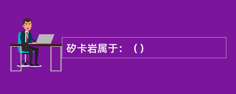 矽卡岩属于：（）
