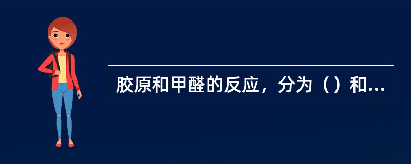 胶原和甲醛的反应，分为（）和（）的两部分。