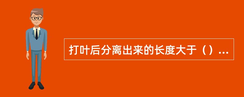 打叶后分离出来的长度大于（）以上的烟梗称为长梗。