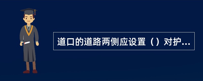 道口的道路两侧应设置（）对护桩。