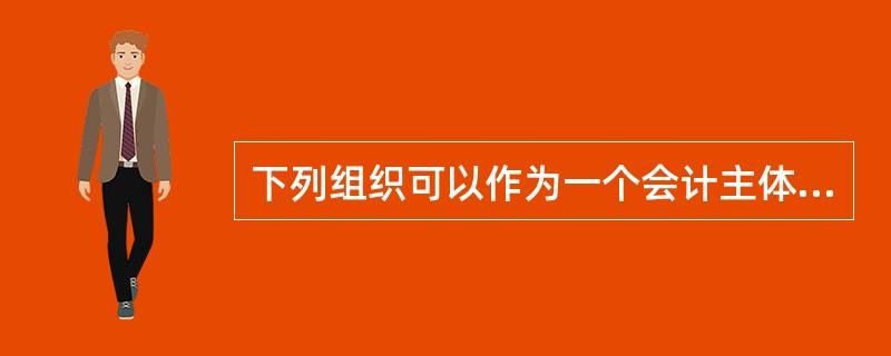 下列组织可以作为一个会计主体进行核算的有()