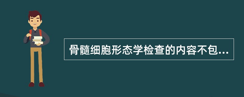 骨髓细胞形态学检查的内容不包括（）