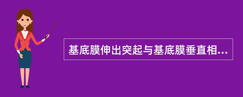 基底膜伸出突起与基底膜垂直相连，形似梳齿（）