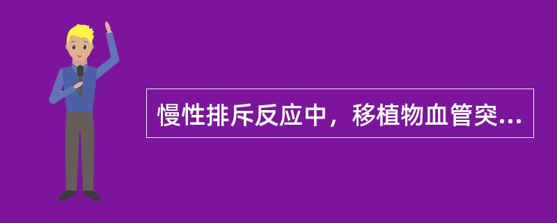 慢性排斥反应中，移植物血管突出的病理特点是（）。