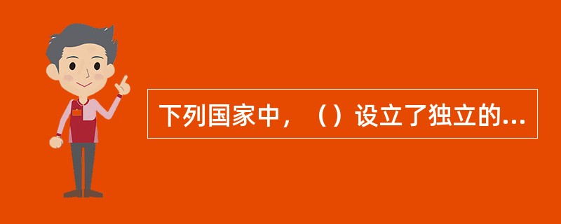 下列国家中，（）设立了独立的保险监督管理机关。