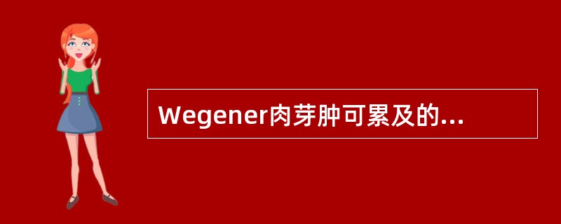 Wegener肉芽肿可累及的血管是（）