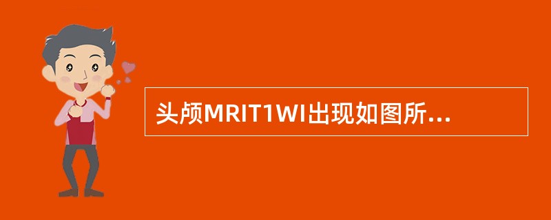 头颅MRIT1WI出现如图所示脑梗死，该病灶是下列哪两条血管供血区之间边缘带的局