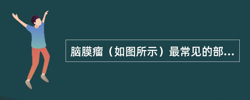 脑膜瘤（如图所示）最常见的部位是（）