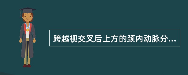 跨越视交叉后上方的颈内动脉分支是（）