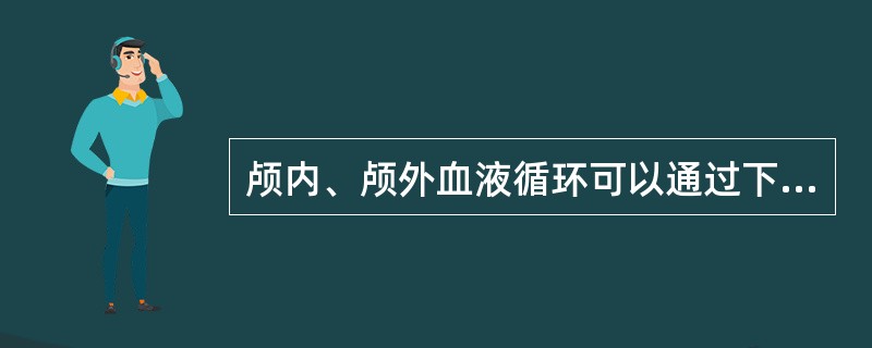 颅内、颅外血液循环可以通过下列何种途径相交通（）