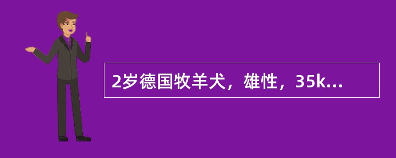 2岁德国牧羊犬，雄性，35kg，突发厌食，间或呕吐，呕吐物为少量黄色黏稠液体，大