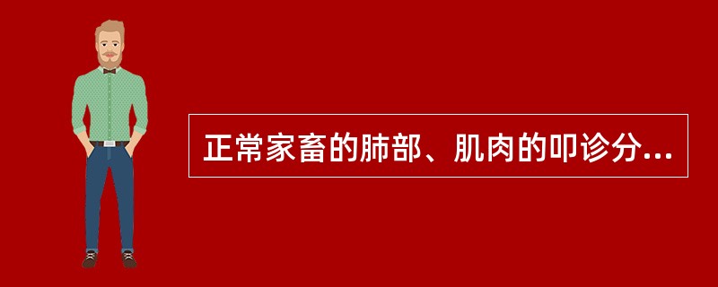 正常家畜的肺部、肌肉的叩诊分别是（）。