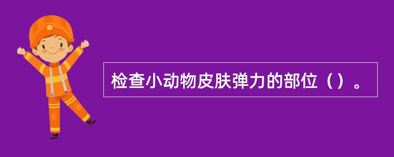 检查小动物皮肤弹力的部位（）。