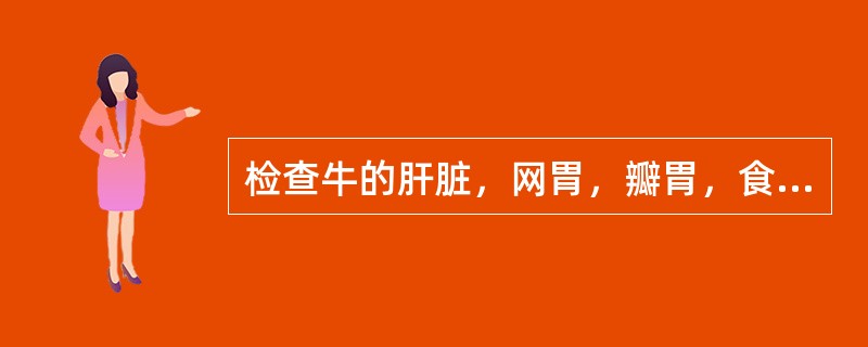 检查牛的肝脏，网胃，瓣胃，食道应分别在——侧（）。