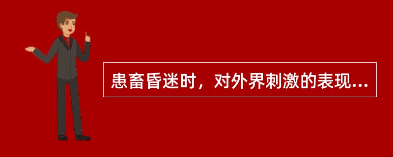 患畜昏迷时，对外界刺激的表现是（）。