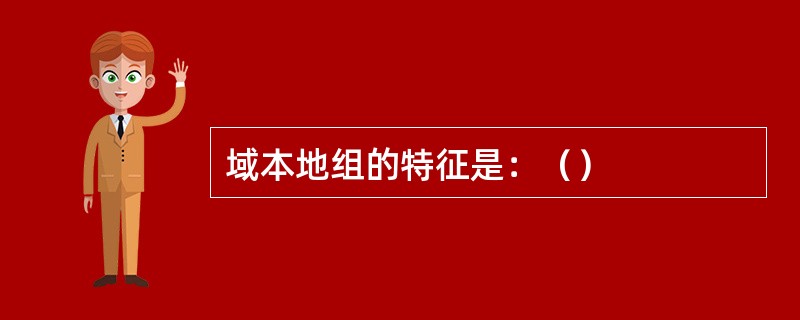 域本地组的特征是：（）