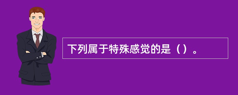 下列属于特殊感觉的是（）。