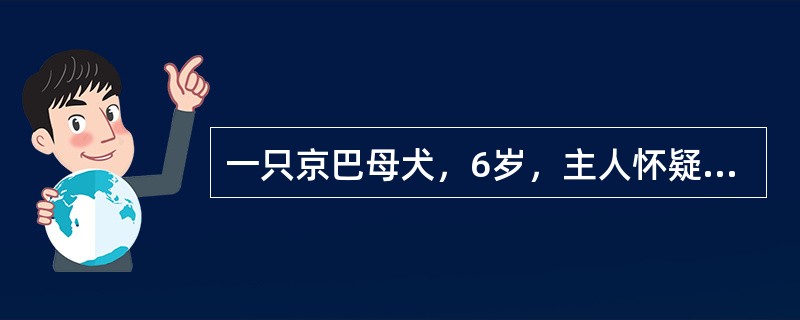 一只京巴母犬，6岁，主人怀疑已妊娠45d，前来动物医院要求进行B超妊娠诊断。在探