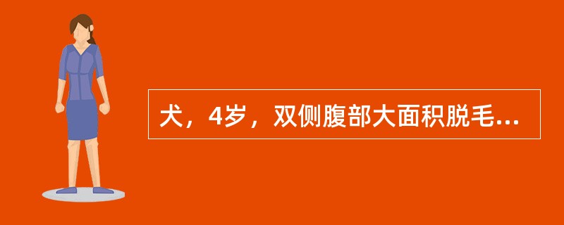 犬，4岁，双侧腹部大面积脱毛，皮肤表面有红斑，个别地方有痂皮。颈背部皮肤脱毛，有