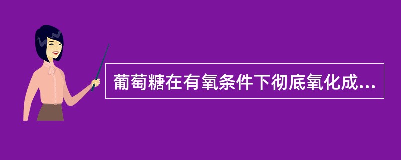 葡萄糖在有氧条件下彻底氧化成水和二氧化碳的过程称为（）