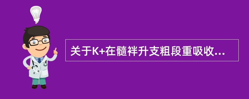 关于K+在髓袢升支粗段重吸收的叙述，正确的是（）