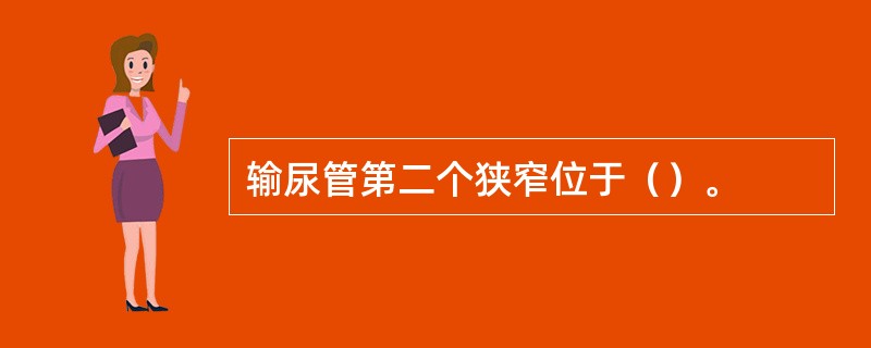 输尿管第二个狭窄位于（）。