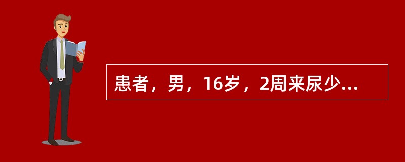 患者，男，16岁，2周来尿少，全身水肿明显，尿蛋白定量8g/d，血浆白蛋白18g