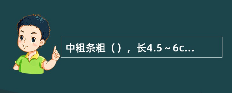 中粗条粗（），长4.5～6cm，因粗细如笔杆，故又称之为“笔杆条”。